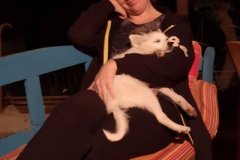 IMG-20181012-WA0031