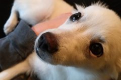 IMG-20181028-WA0031