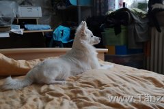 IMG-20181217-WA0022