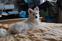 IMG-20181217-WA0024