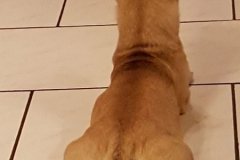 IMG-20181221-WA0033
