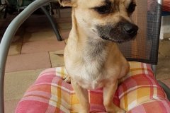IMG-20181222-WA0004