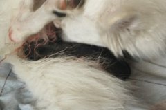 IMG-20190618-WA0011