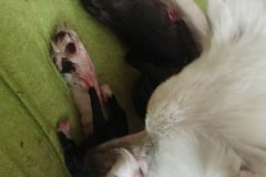 IMG-20190618-WA0026