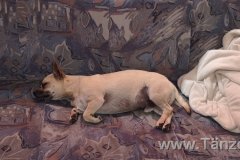 IMG-20190630-WA0057