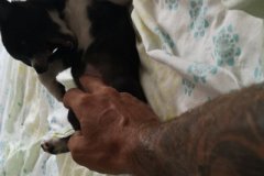 IMG-20190807-WA0018