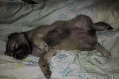 IMG-20190813-WA0001
