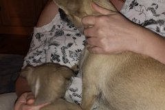 IMG-20190813-WA0013