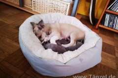 IMG-20190824-WA0073
