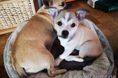 IMG-20190824-WA0089
