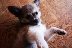 IMG-20190824-WA0090