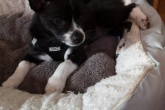 IMG-20190824-WA0092