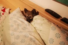IMG-20190828-WA0012