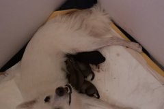 IMG-20190902-WA0128