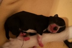 IMG-20190902-WA0133