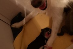 IMG-20190902-WA0134