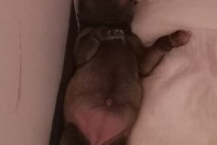 IMG-20190902-WA0175