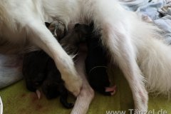 IMG-20190902-WA0179