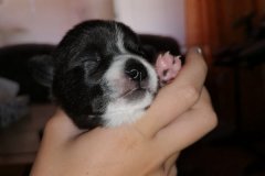 IMG-20190902-WA0181