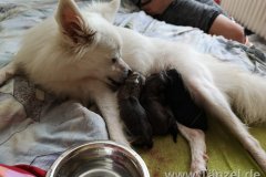 IMG-20190902-WA0188