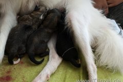 IMG-20190902-WA0189