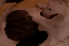 IMG-20190902-WA0190