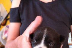 IMG-20190902-WA0191