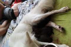 IMG-20190902-WA0194