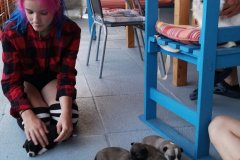 IMG-20190902-WA0199