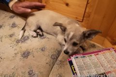 IMG-20190908-WA0009