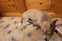 IMG-20190908-WA0010