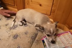 IMG-20190908-WA0011