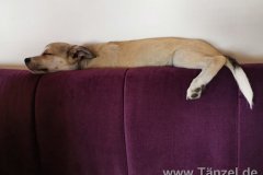 IMG-20190913-WA0026