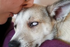IMG-20190913-WA0028