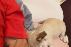 IMG-20190913-WA0032