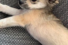 IMG-20190915-WA0004