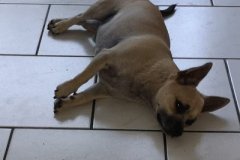 IMG-20190915-WA0006