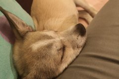 IMG-20190919-WA0012
