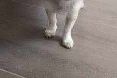IMG-20190922-WA0004