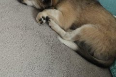 IMG-20190922-WA0007