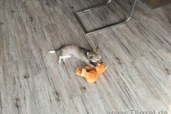 IMG-20190922-WA0011