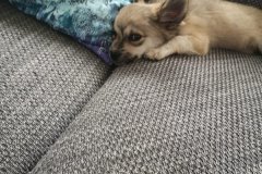 IMG-20190922-WA0012