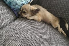 IMG-20190922-WA0015