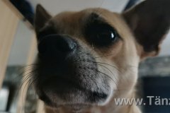 IMG-20200811-WA0001