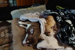 IMG-20201129-WA0000