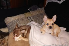 IMG-20201129-WA0001