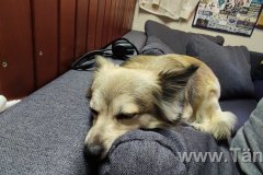 IMG-20211023-WA0002