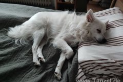 IMG_20220309_065408