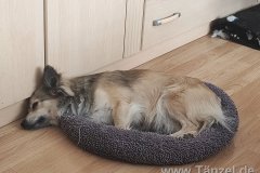 IMG_20220412_135142