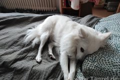 IMG_20220414_084656
